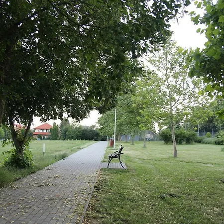 With Swing Апартаменты *